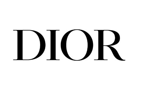 dior elements|how did dior became famous.